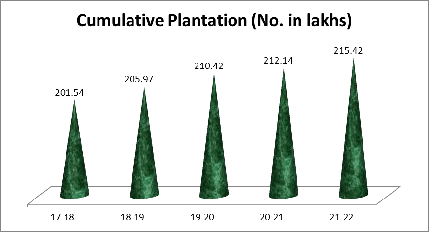 plantation